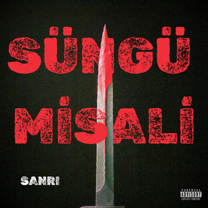 SÜNGÜ MİSALİ