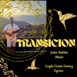 Transicion