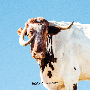 Bravo