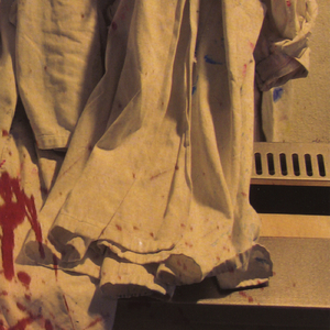 Black Cat, White Rabbit