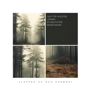 Odyssey för avkoppling