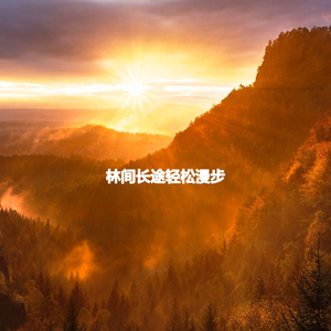 Alluring Ambience for Successful Steps