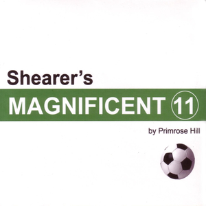 Shearer Acoustic Mix