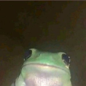 FROG (FROM "CRAZY FROGG")
