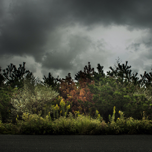 subliminal sublimation