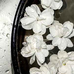 有款游戏越打越年轻