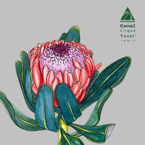 Dianta (Tonel' Remix)