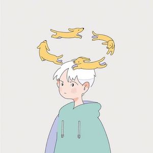 胖蜘蛛在书房结网