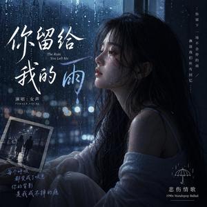 你留给我的雨