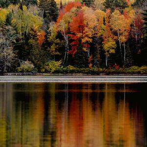 Forelsket (Instrumental Version)