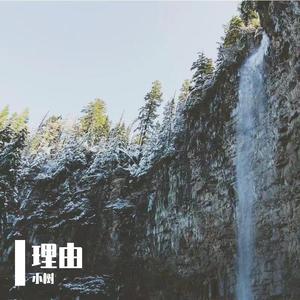 理由