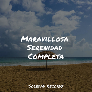 Todo Está Tranquilo