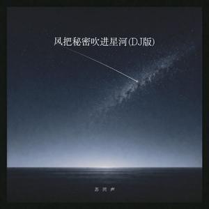 风把秘密吹进星河（DJ版）