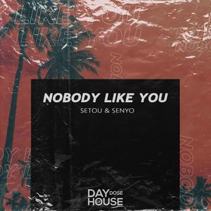 Nobody Like You