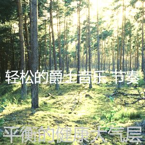 安静的假期声音