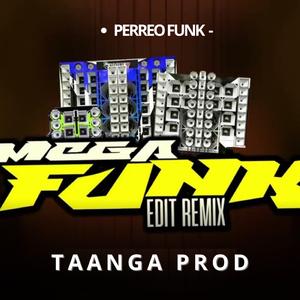 Mega Gringo Taanga (feat. Taanga Producciones)