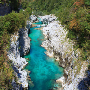 O Rio Que Sabe o Caminho