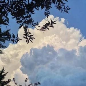 梦幻夜晚的音符漩涡