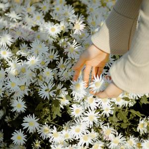 There is always time to enjoy beauty. (Lo-Fi Ambient Music)