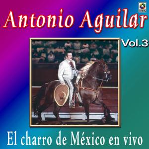 Arboles De La Barranca (En Vivo)