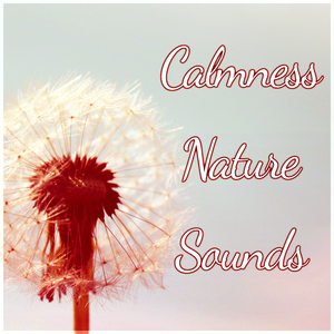 Brain Harmony (Nature Soothing Pieces)