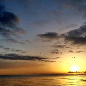 总有一天看着别人想起你