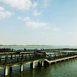 童话（中英文版）