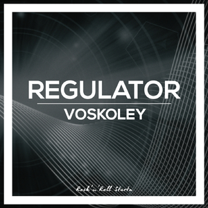 Regulator (Original Mix)