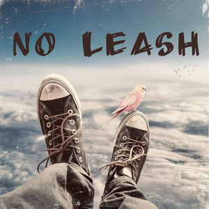 No Leash
