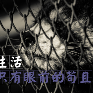 生活只有眼前的苟且