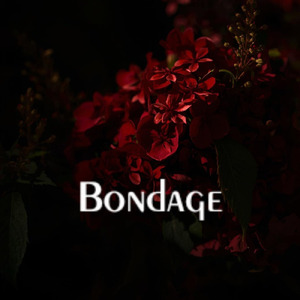 Bondage
