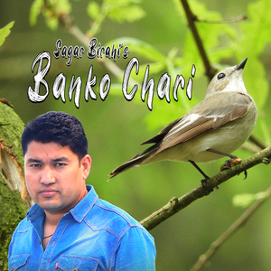 BANKO CHARI