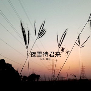 夜雪待君来