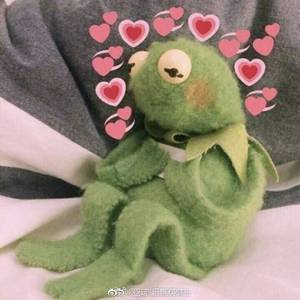 数青蛙（Cover 青蛙乐队）