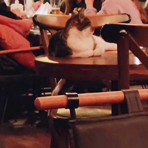 Elini Tuttum O Tanıştık Sandı