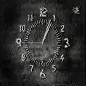 Электрические совы