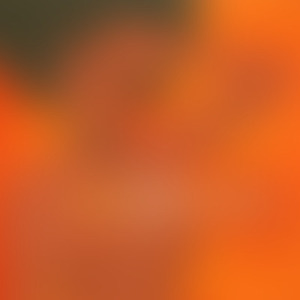 Music&Wine (The'Attaboy Vocal)