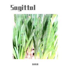Sagittal(Original Mix)