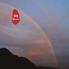 戒掉不想你 (DJ版)