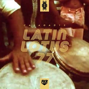 Latin Lotus 77