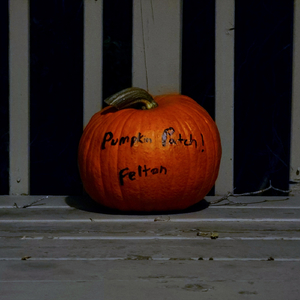 Pumpkin Patch!