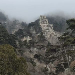 追寻阳光