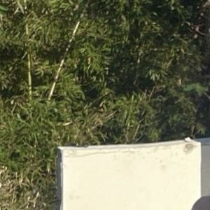 撕碎的回忆