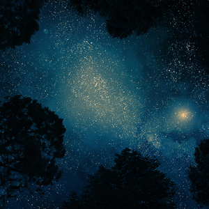 Stream of Unconsciousness