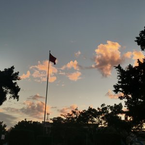 遥远的她