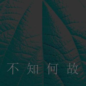 不知何故