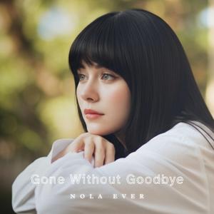 Gone Without Goodbye