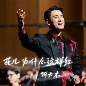 花儿为什么这样红