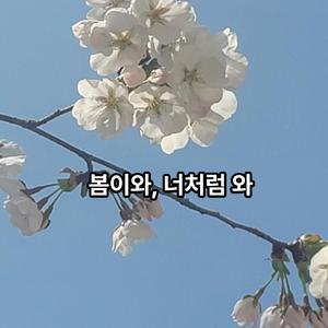 봄이와, 너처럼 와.