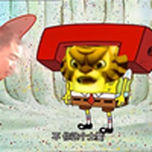 土鳖宝宝（海绵宝宝）